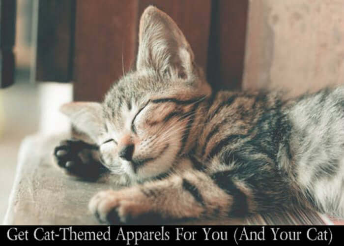 Get Cat-Themed Apparels For You (And Your Cat)