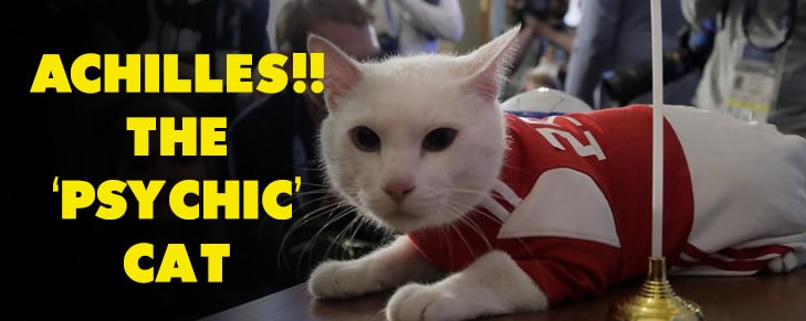 This FIFA World Cup 2018, It’s Cat Season for Ailurophiles!