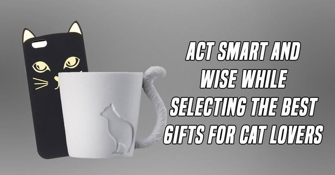 Act Smart and Wise While Selecting the Best Gifts for Cat Lovers