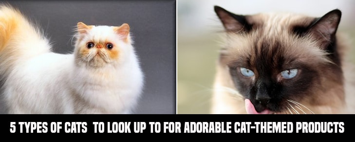 5 Types of Cats You Can Look Up To For Adorable Cat-Themed Products