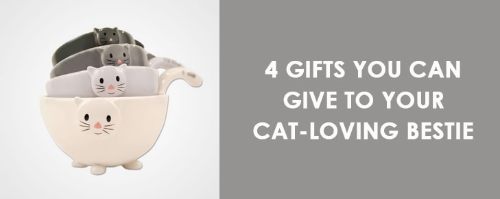 4 Gifts You Can Give to Your Cat-Loving Bestie