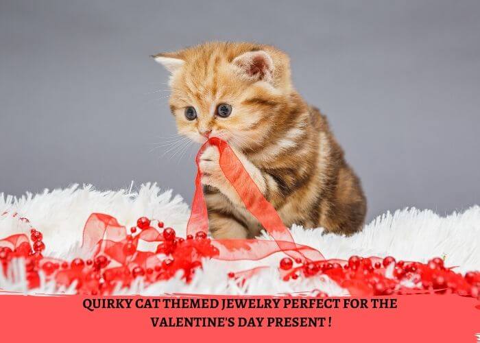 Quirky Cat Themed Jewelry Perfect For The Valentine's Day Present !