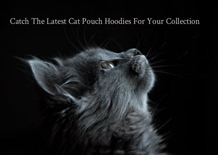 Catch The Latest Cat Pouch Hoodies For Your Collection