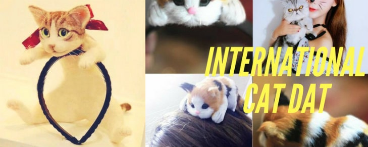 This International Cat Day, Celebrate your Favorite Pets for their Rare Idiosyncrasies!