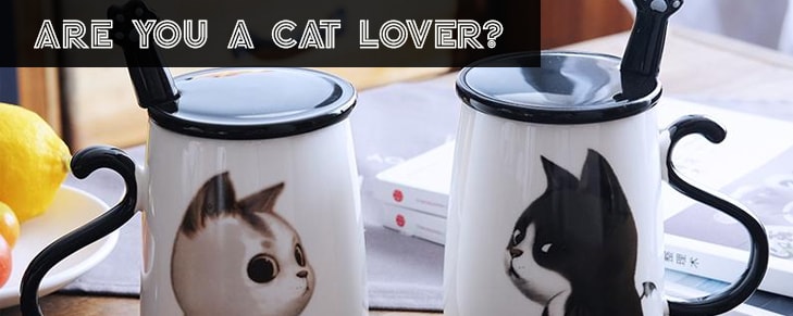 Creative Ideas to Use the Funny Cat Coffee Mugs for Everyday Purposes