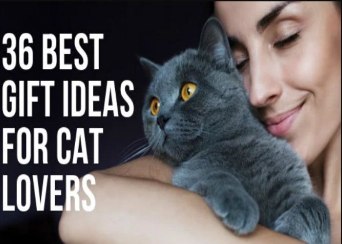 36 Purrfect Gift Ideas For Crazy Cat Lovers