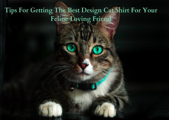 Tips For Getting The Best Design Cat Shirt For Your Feline Loving Friend