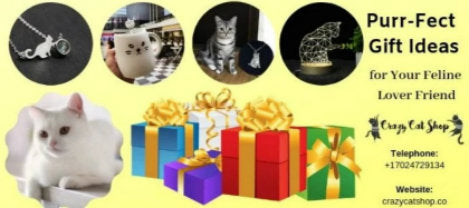 The Purr-Fect Gift Ideas for Your Feline Lover Friend