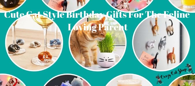 best gifts for cat lovers