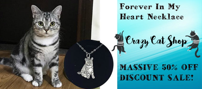 Things To Know About Styling The Quirky And Paw-Some Cat Necklace