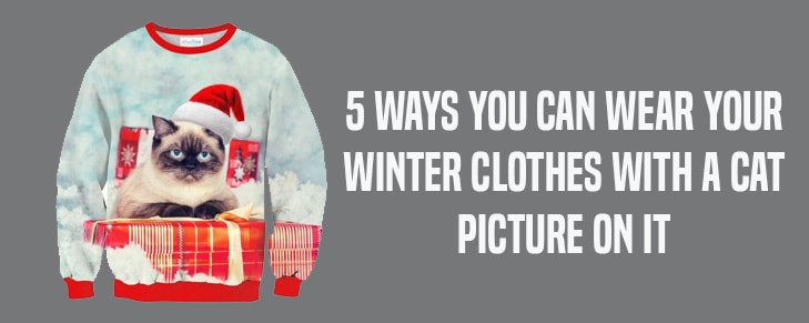 5 Ways You Can Wear Your Winter Clothes with A Cat Picture on It