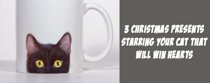 3 Christmas Presents Starring Your Cat That Will Win Hearts