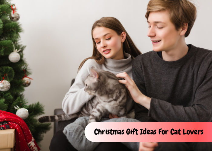 Christmas Gift Ideas For Cat Lovers 