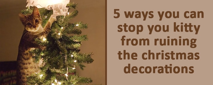 5 Absolutely Brilliant Ways to Cat-Proof Your Christmas Decorations