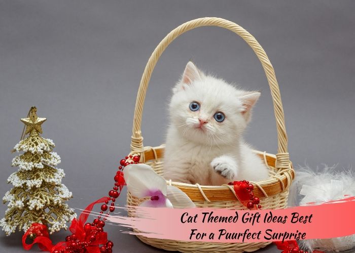 Cat Themed Gift Ideas Best For a Puurfect Surprise
