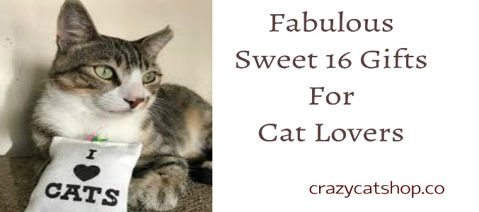 A Guide To Fabulous Sweet 16 Gifts For Cat Lovers!