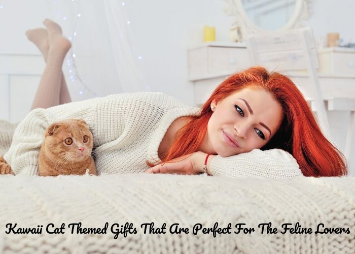 Kawaii Cat Themed Gifts That Are Perfect For The Feline Lovers