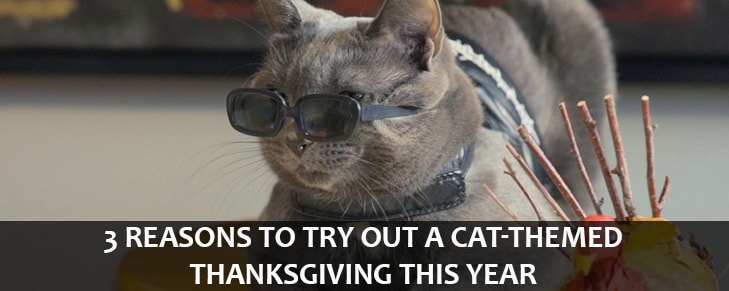 3 Reasons to Try Out a Cat-Themed Thanksgiving This Year