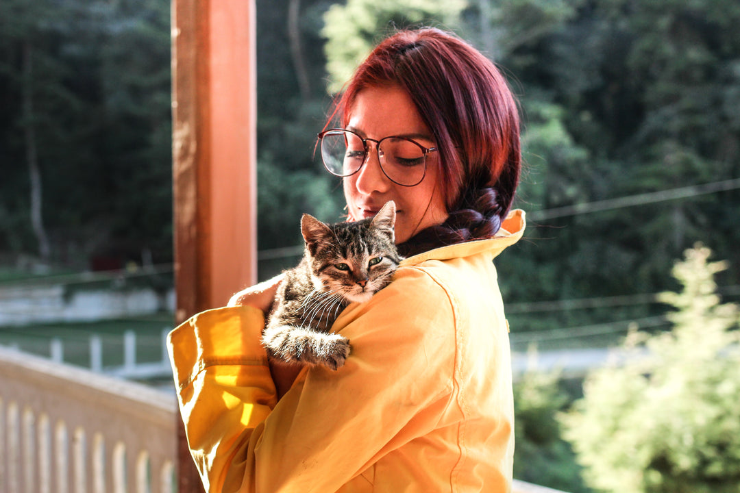 7 Signs You Might Be a Crazy Cat Lady
