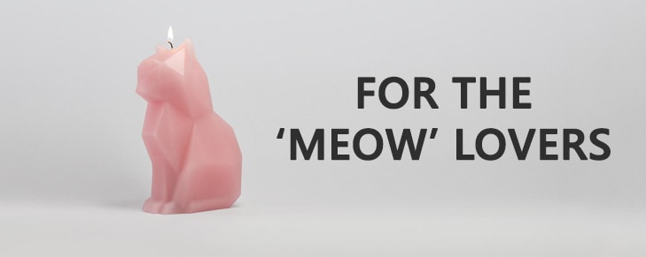 Pamper Yourself This Summer with the Useful Yet Crazy Gifts for Cat Lovers
