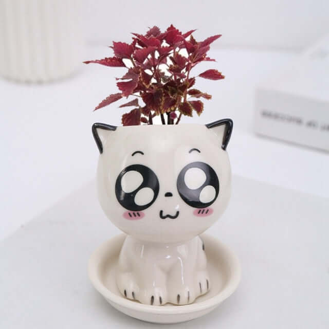 疯猫卡通陶瓷花盆