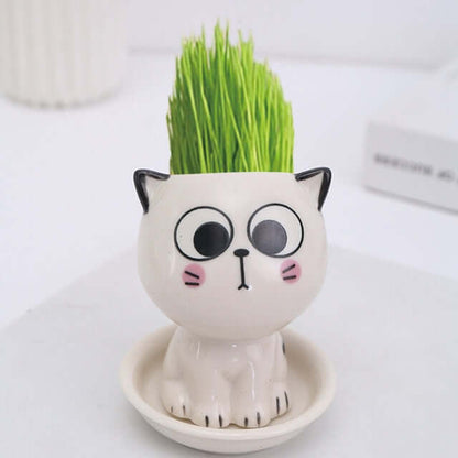Crazy Cat Cartoon Ceramic Flowerpot