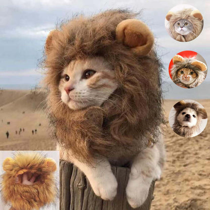 Lion Mane Crazy Cat Costume
