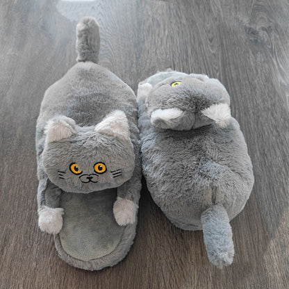 Crazy Cat Extra Soft Slippers