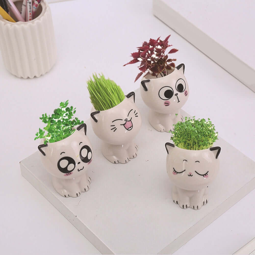 Crazy Cat Cartoon Ceramic Flowerpot