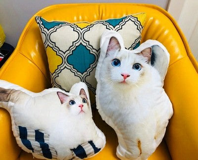 a set of two custom made cat cushions