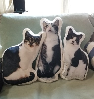 a set of custom made cat cushions