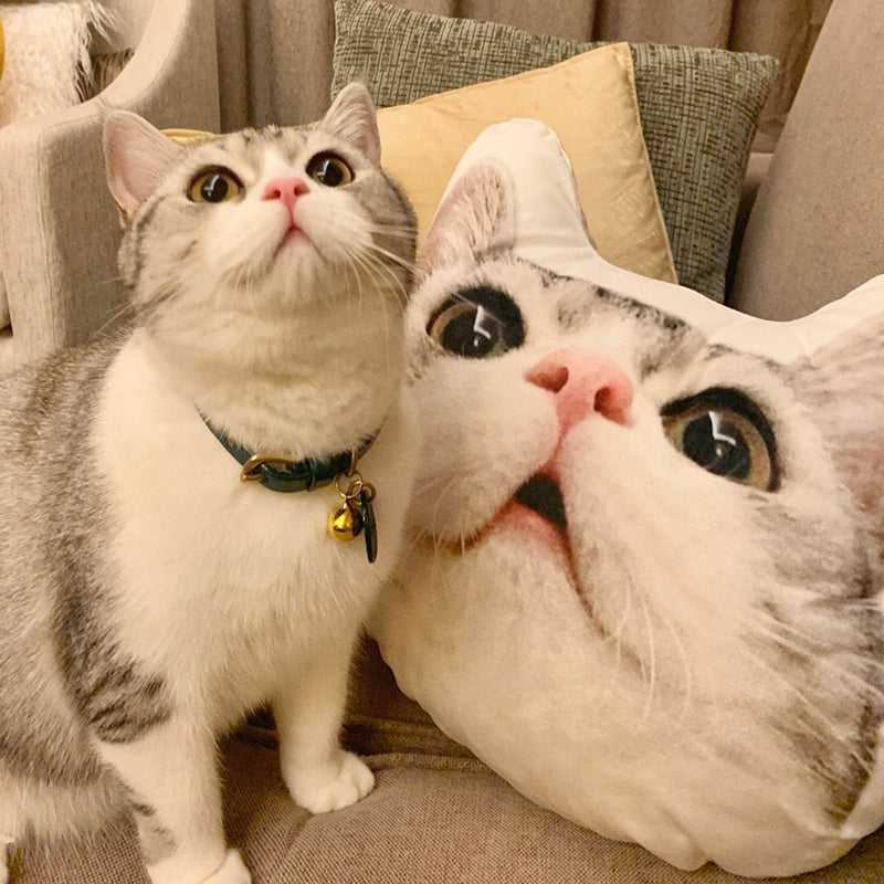 a beautiful cat posing with custom made cat cushion
