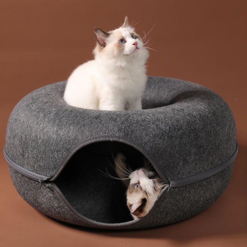 Crazy Donut Cat Tunnel