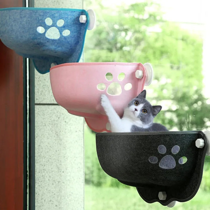 Suction Cup Cat Lounge Cup