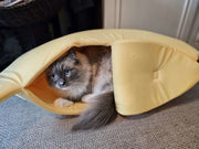 Crazy Cat Banana Bed